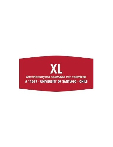 Levadura FERMIVIN XL  (500g) Rojos afrutados y suaves