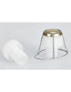 Botella 750ml Champagne/Spark wine (caja x 24) 2