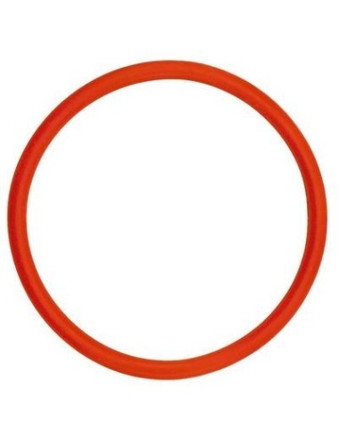 RAPT Pill Densimetro termometro digital