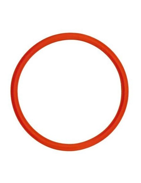 RAPT Pill Densimetro termometro digital