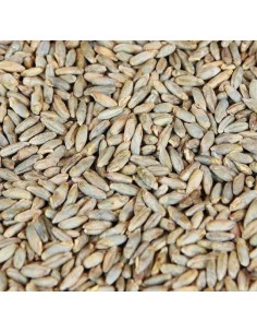 Castle Malting Rye 2-5 EBC