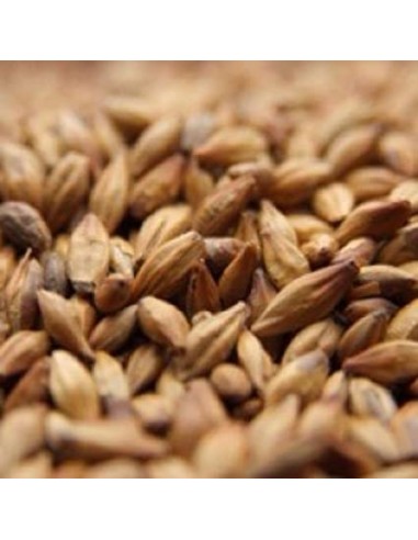 Cara Aroma