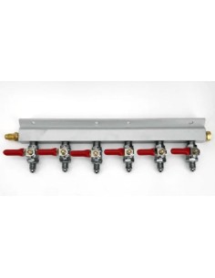 Manifold 5 vías sin PRV rosca 1/4 MFL