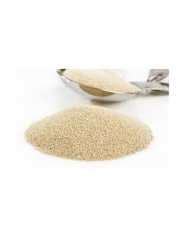 Levadura SafLager S-23 (gramo)