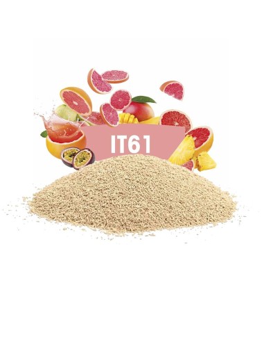 Levadura FERMIVIN IT61 (500g ) Intensas notas tropicales
