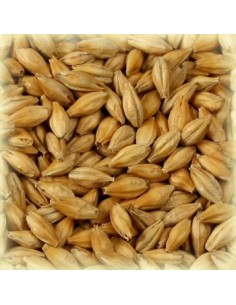 Special W (Weyermann) kg