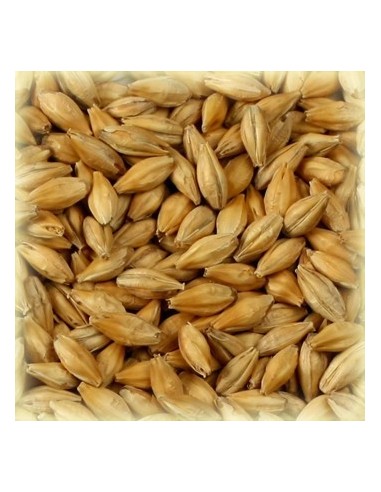 Special W (Weyermann) kg