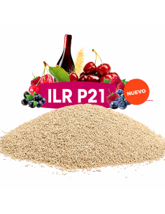 Levadura FERMIVIN P21 (500g)  Rojos para Crianza y Alta...