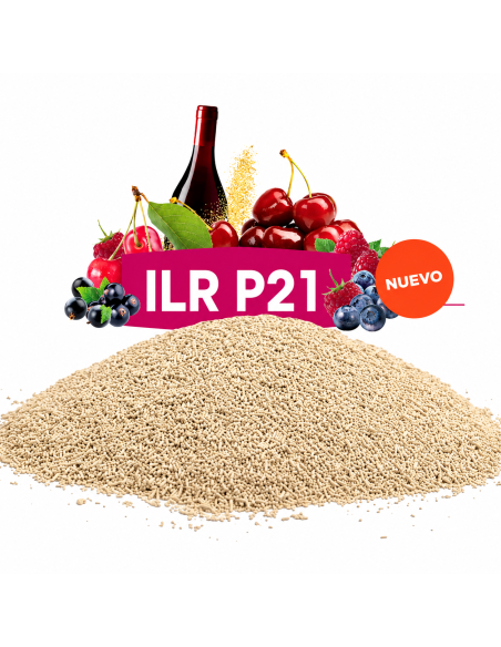 Levadura FERMIVIN P21 (500g)  Rojos para Crianza y Alta Calidad