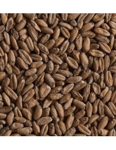 Castle Malting Spelt kg