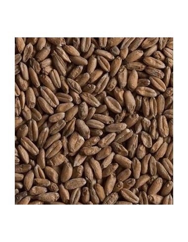 Castle Malting Spelt kg
