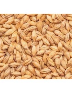 Castle Malting Peated kg