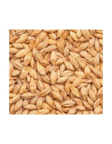 Castle Malting Peated kg