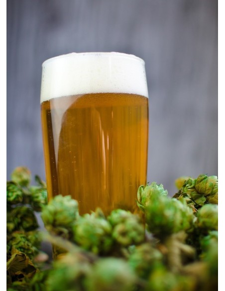 American Pale Ale
