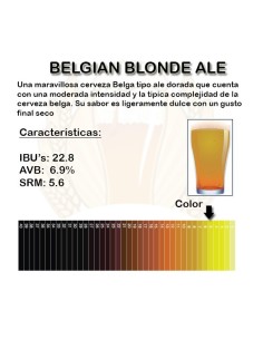 Belgian Blonde Ale 2