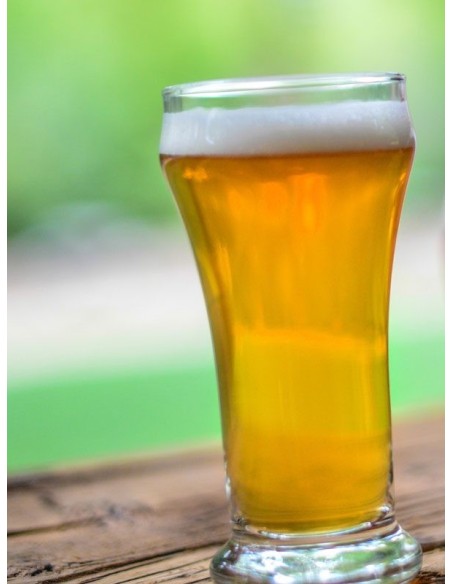 Cream Ale