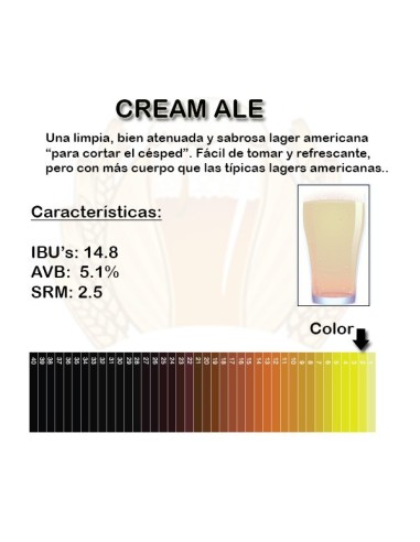 Cream Ale