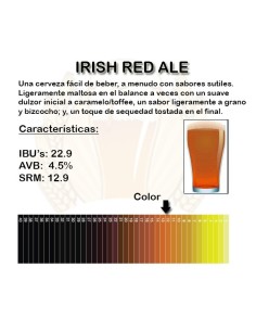 Irish Red Ale 2