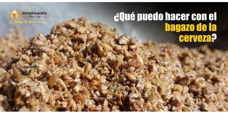 ¿QUÉ PUEDO HACER CON EL BAGAZO DE LA CERVEZA?